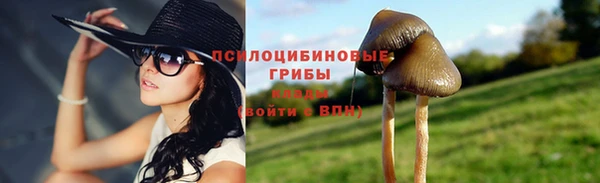 скорость Заволжье