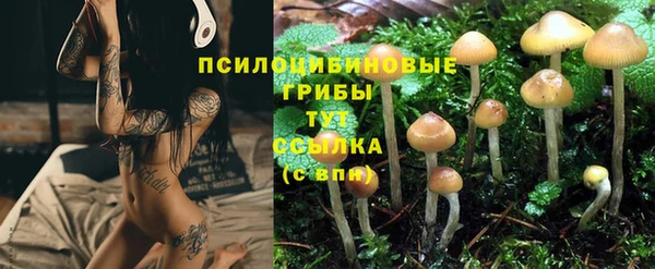 скорость Заволжье