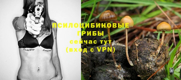 дурь Наволоки