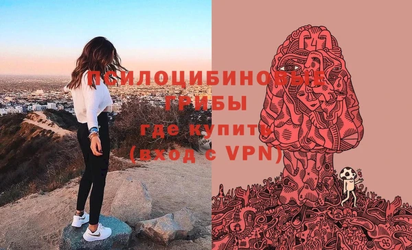 скорость Заволжье