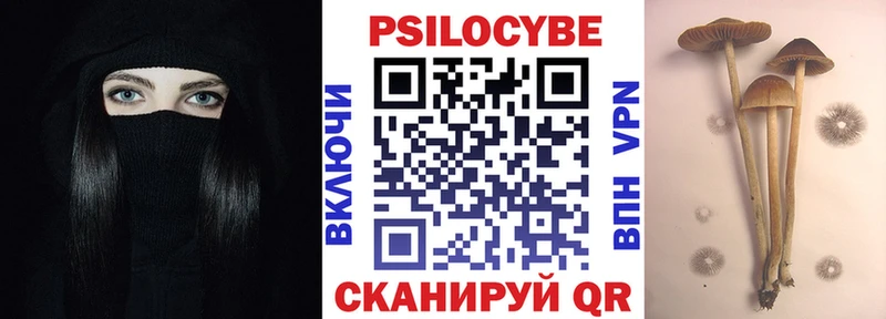 Галлюциногенные грибы Psilocybe  Кадников 